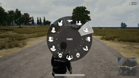 How to Emote in PUBG - PUBG Settings
